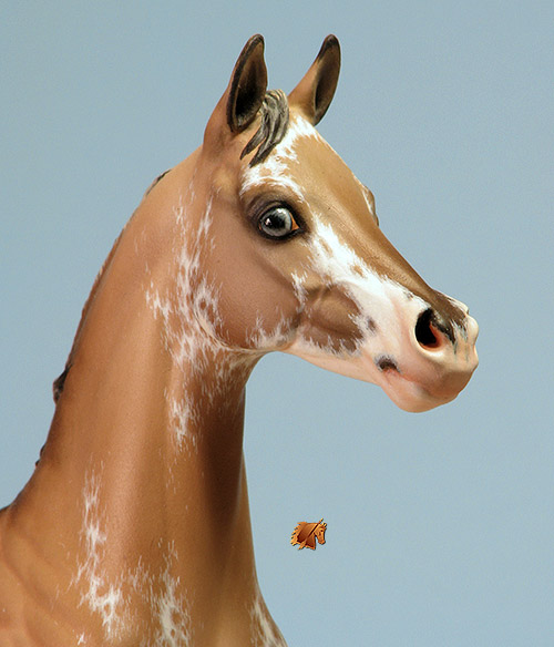 Okie Rio #21 Painted by Carol Williams