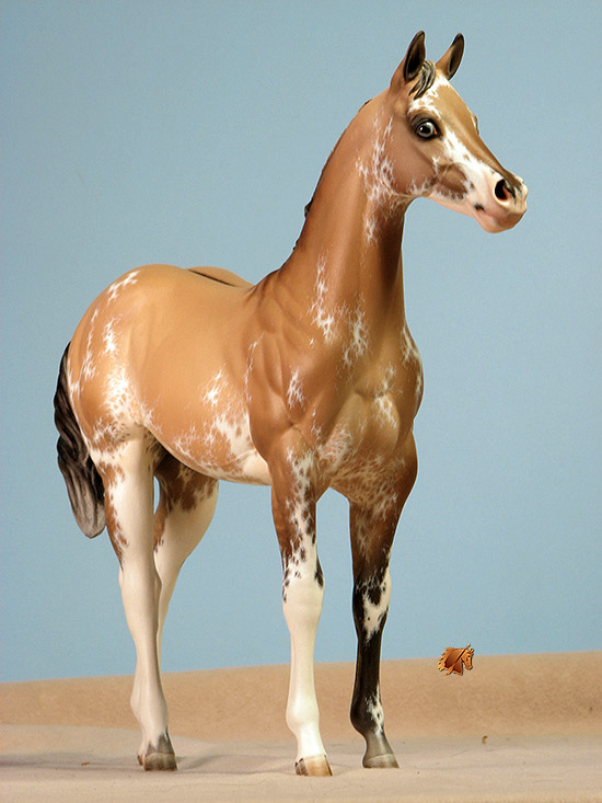 Okie Rio #21 Painted by Carol Williams