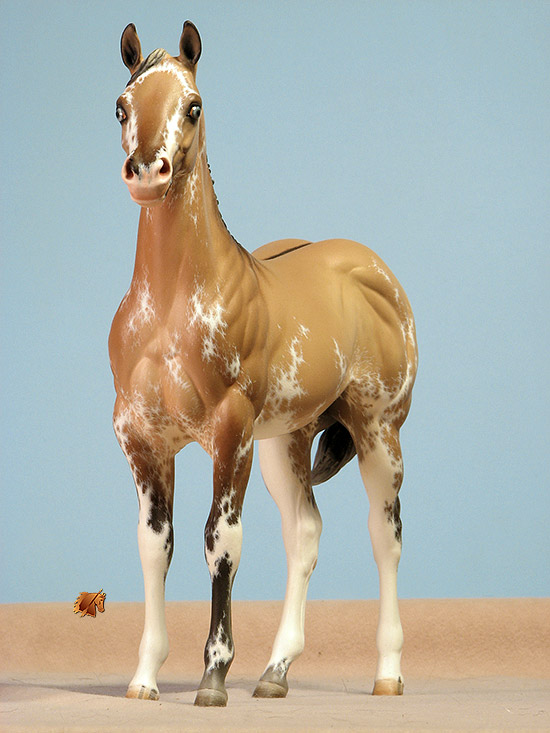 Okie Rio #21 Painted by Carol Williams