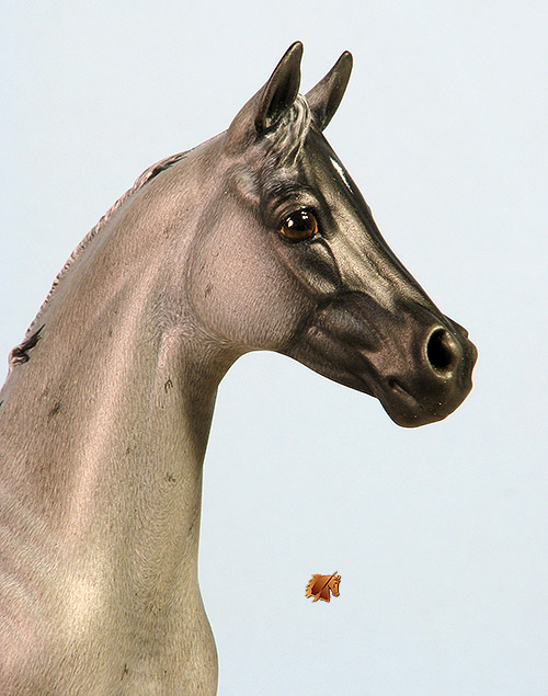 Okie Rio #22 Painted by Carol Williams