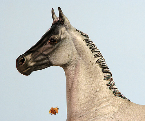 Okie Rio #22 Painted by Carol Williams