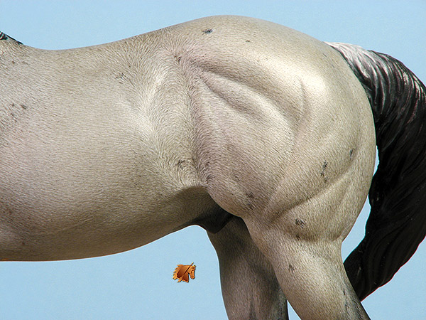 Okie Rio #22 Painted by Carol Williams