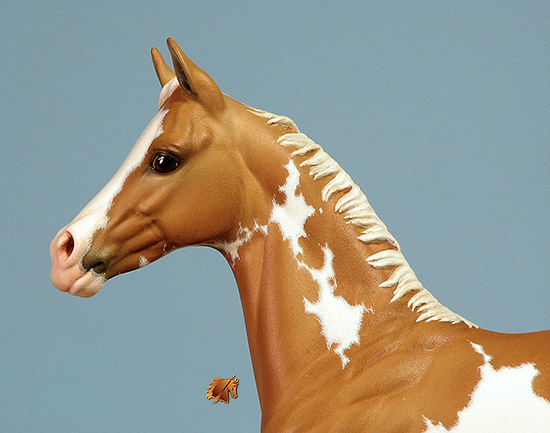 Okie Rio #23 Painted by Carol Williams