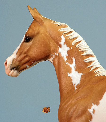 Okie Rio #23 Painted by Carol Williams