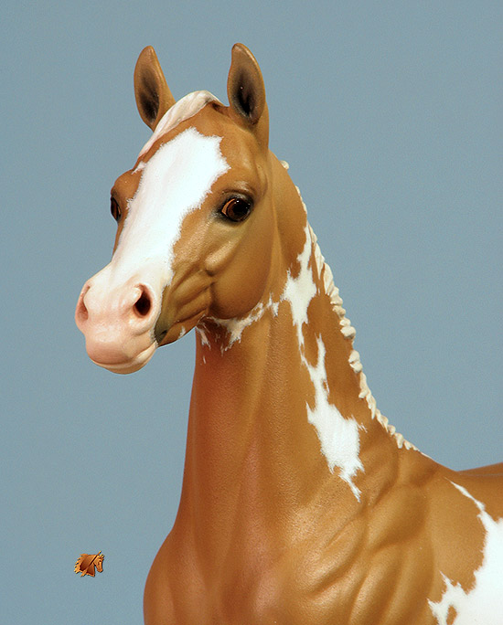 Okie Rio #23 Painted by Carol Williams