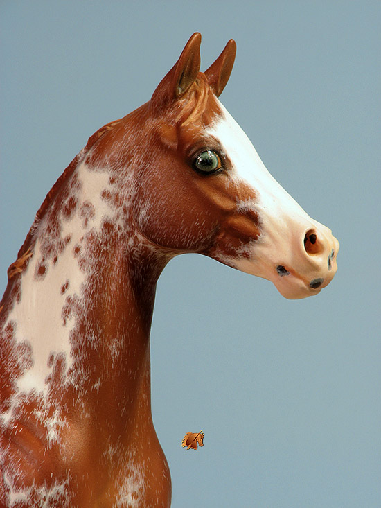 Okie Rio #24 Painted by Carol Williams