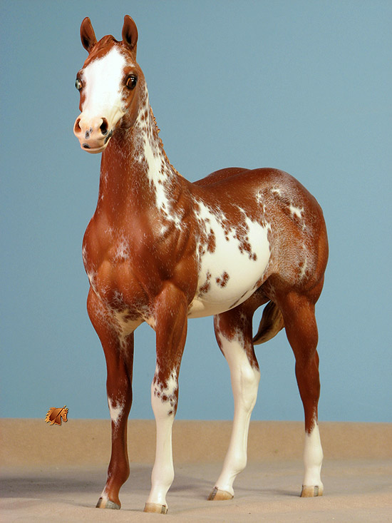 Okie Rio #24 Painted by Carol Williams