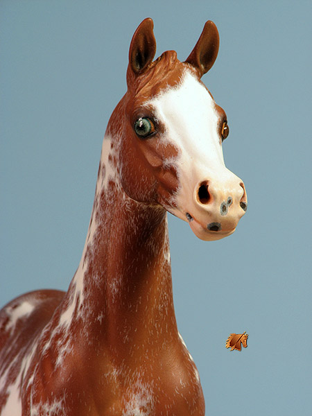 Okie Rio #24 Painted by Carol Williams