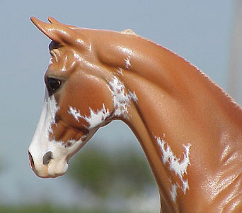 Parrs Dream Doll #27 Painted by Carol Williams