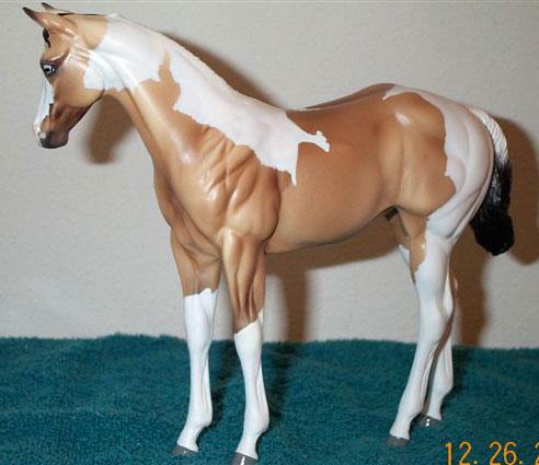 Weanling Painted by Sheri Rhodes