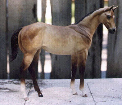 Weanling Painted by Sheri Rhodes