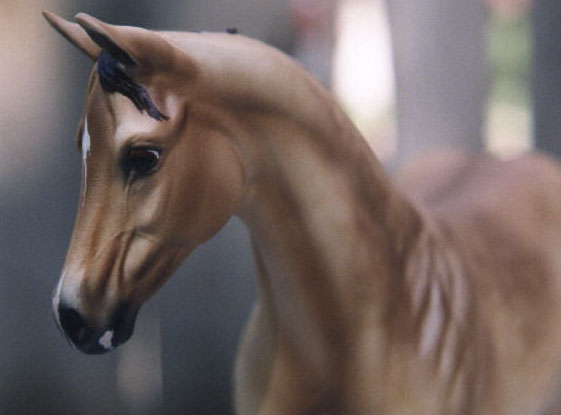 Weanling Painted by Sheri Rhodes