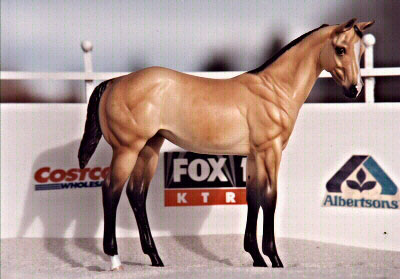 Weanling Painted by Sheri Rhodes