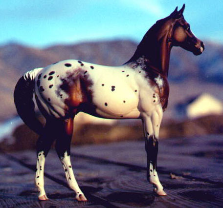 Weanling Painted by Sheri Rhodes