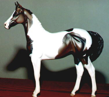 Weanling Painted by Sheri Rhodes