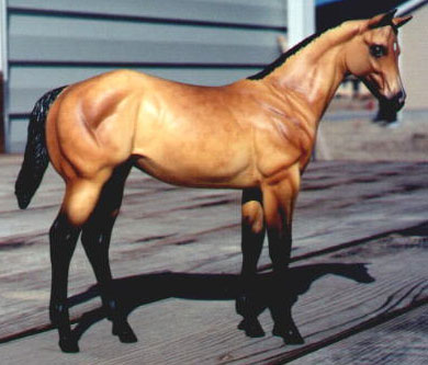 Weanling Painted by Sheri Rhodes