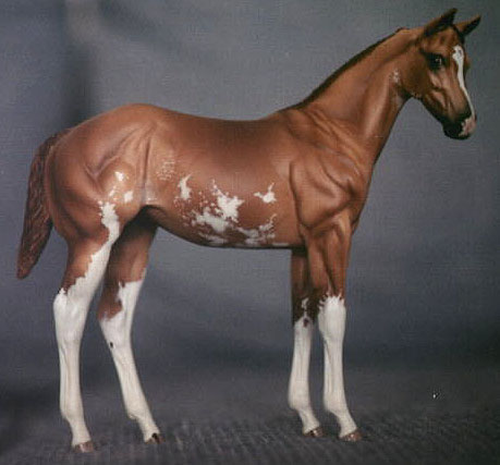 Weanling Painted by Sheri Rhodes