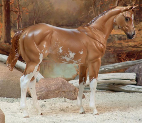 Weanling Painted by Sheri Rhodes