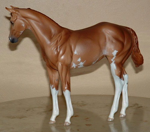 Weanling Painted by Sheri Rhodes