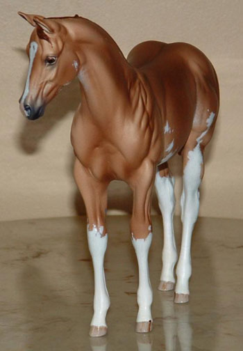 Weanling Painted by Sheri Rhodes