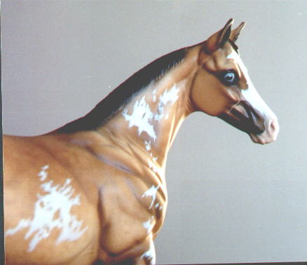 Weanling Painted by Sheri Rhodes