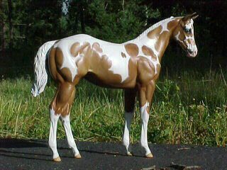 Weanling Painted by Jennifer Scott
