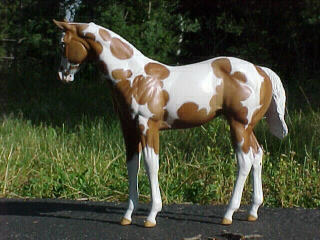 Weanling Painted by Jennifer Scott