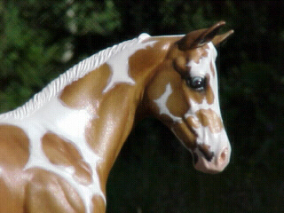 Weanling Painted by Jennifer Scott
