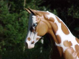 Weanling Painted by Jennifer Scott