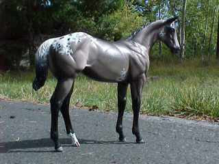 Weanling Painted by Jennifer Scott