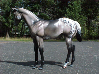 Weanling Painted by Jennifer Scott