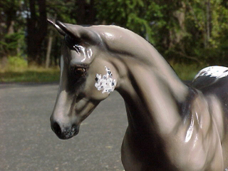 Weanling Painted by Jennifer Scott