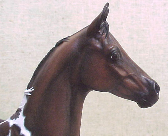 Weanling Painted by Jennifer Scott