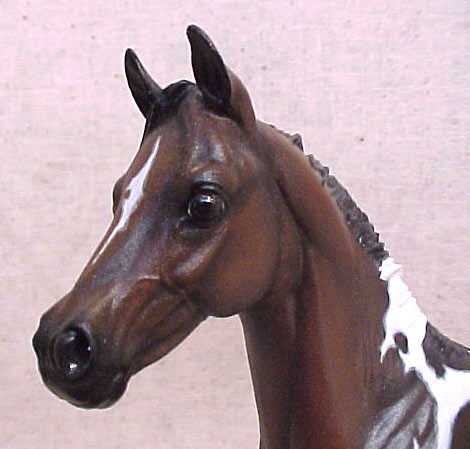 Weanling Painted by Jennifer Scott