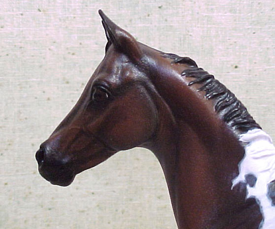 Weanling Painted by Jennifer Scott