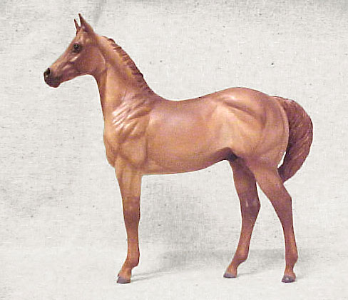 Weanling Painted by Jennifer Scott