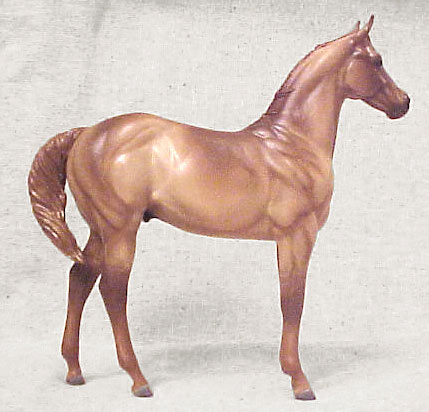 Weanling Painted by Jennifer Scott