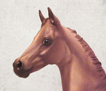 Weanling Painted by Jennifer Scott