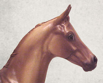 Weanling Painted by Jennifer Scott