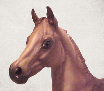 Weanling Painted by Jennifer Scott