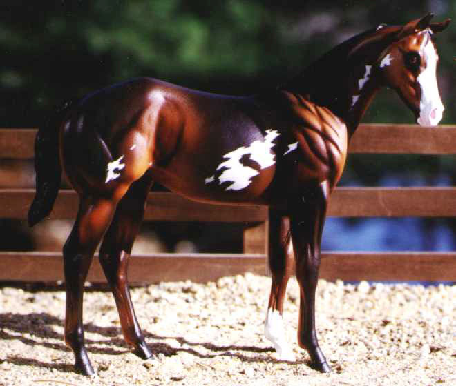 Weanling Painted by Jennifer Timm