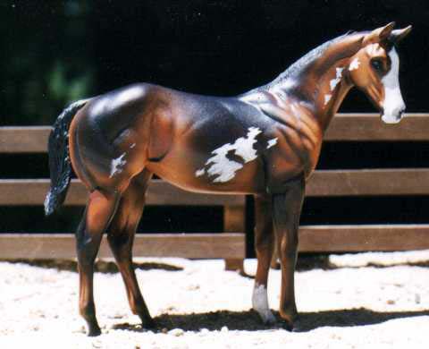 Weanling Painted by Jennifer Timm