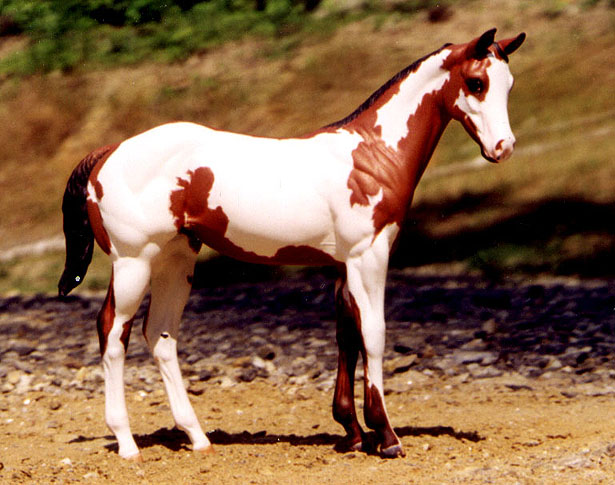 Weanling Painted by Pam DeMuth