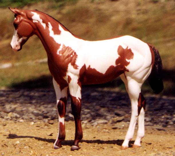 Weanling Painted by Pam DeMuth