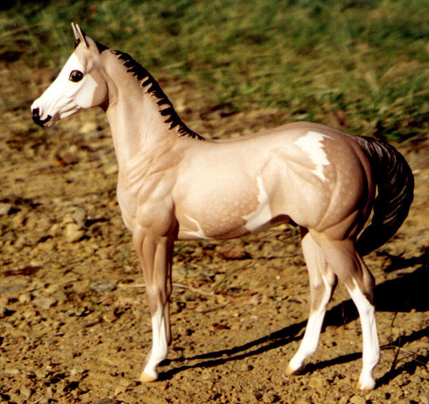 Weanling Painted by Pam DeMuth