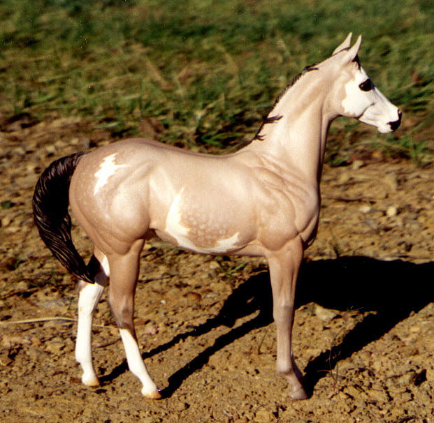 Weanling Painted by Pam DeMuth
