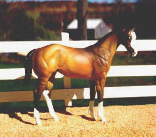 Weanling Painted by Teresa Micheau