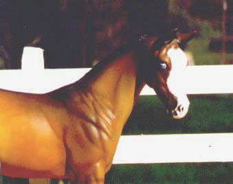 Weanling Painted by Teresa Micheau