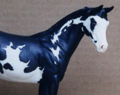 Weanling Painted by Kathryn Provencher