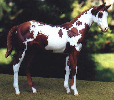 Weanling Painted by Katie Richards